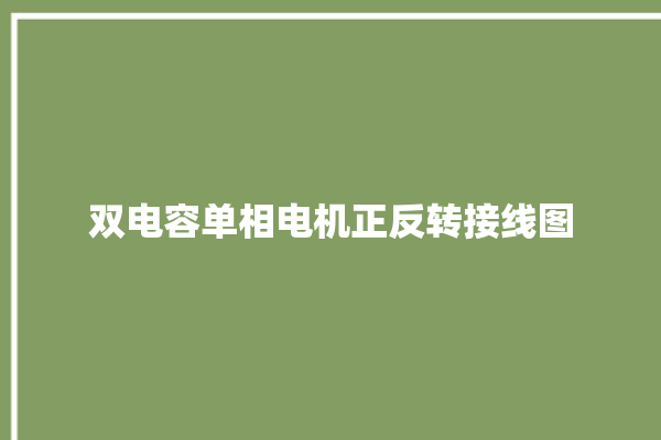 双电容单相电机正反转接线图