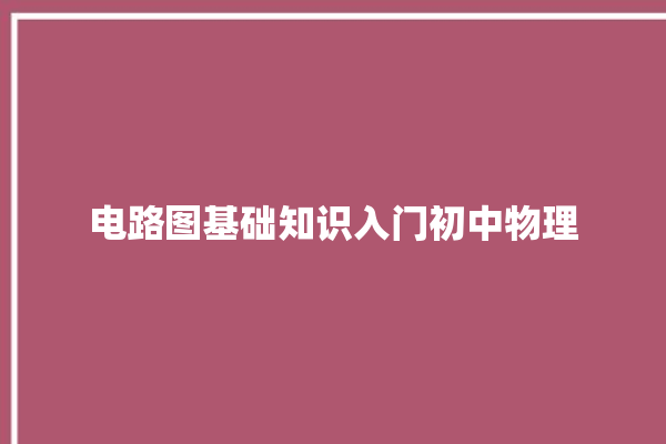 电路图基础知识入门初中物理