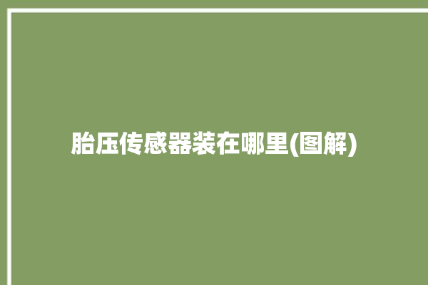 胎压传感器装在哪里(图解)