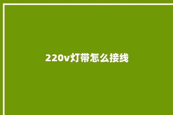 220v灯带怎么接线