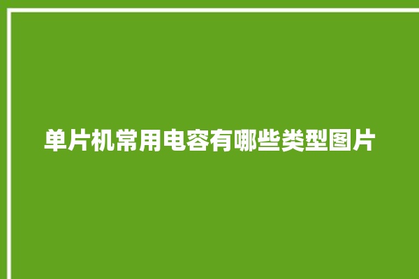 单片机常用电容有哪些类型图片