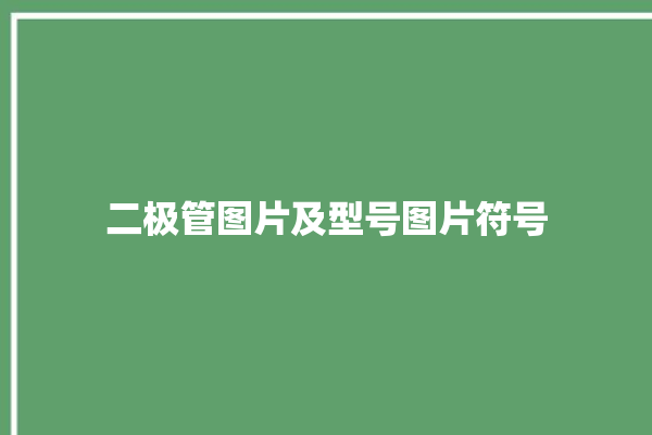 二极管图片及型号图片符号