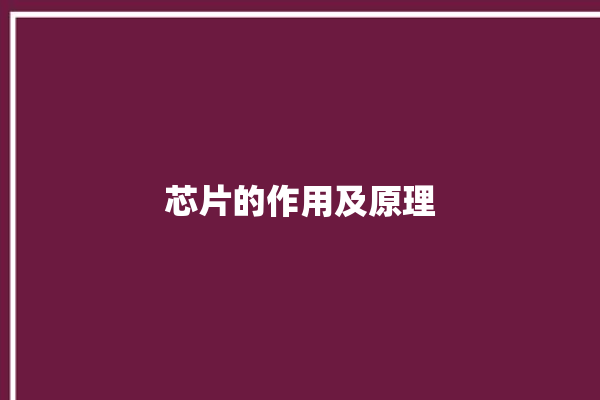 芯片的作用及原理