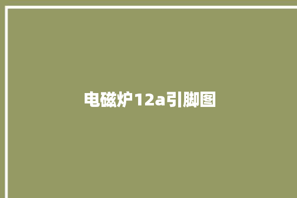 电磁炉12a引脚图