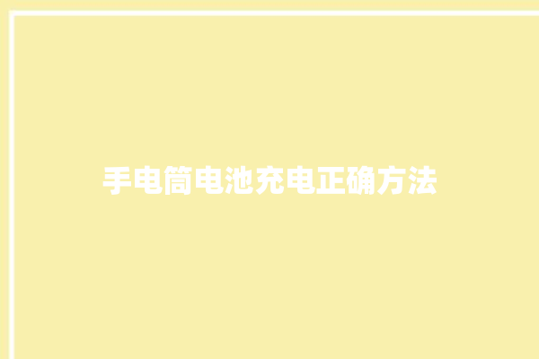 手电筒电池充电正确方法