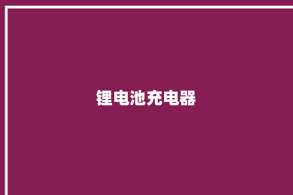 锂电池充电器