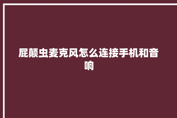 屁颠虫麦克风怎么连接手机和音响