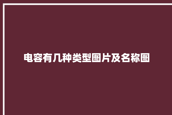 电容有几种类型图片及名称图