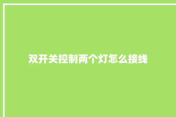 双开关控制两个灯怎么接线