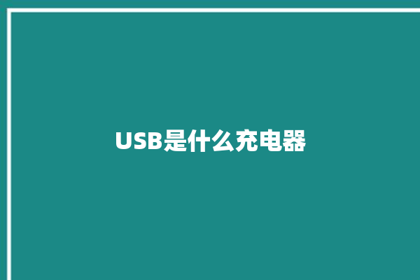 USB是什么充电器