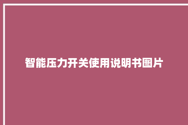 智能压力开关使用说明书图片