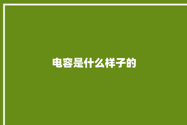 电容是什么样子的