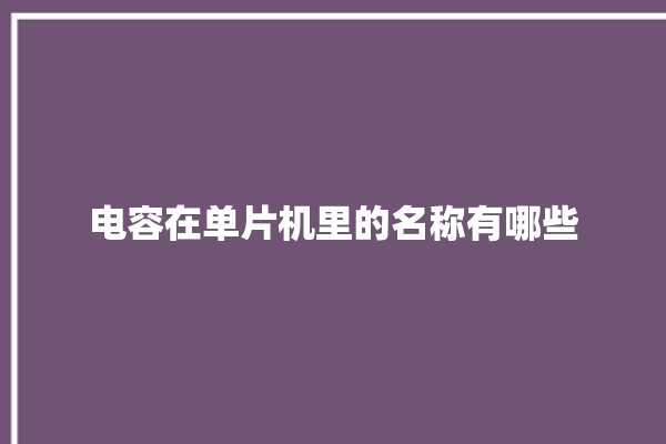 电容在单片机里的名称有哪些