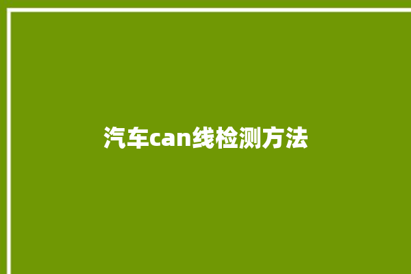 汽车can线检测方法