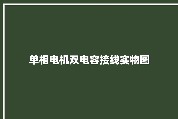 单相电机双电容接线实物图