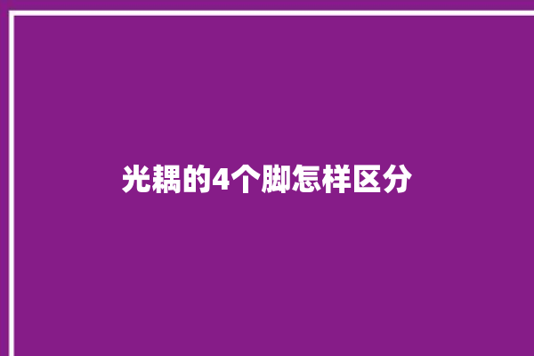 光耦的4个脚怎样区分