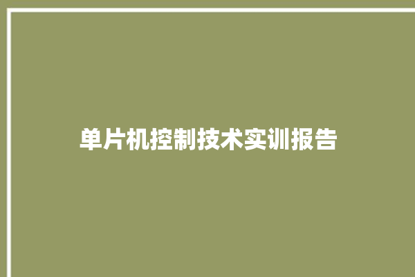 单片机控制技术实训报告