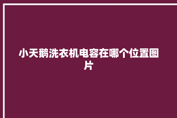 小天鹅洗衣机电容在哪个位置图片