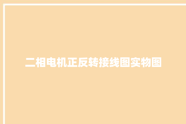 二相电机正反转接线图实物图