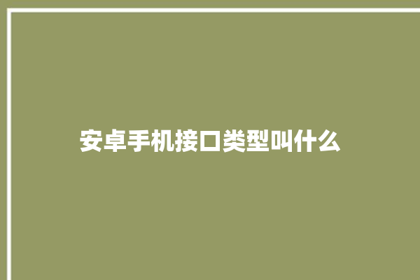 安卓手机接口类型叫什么