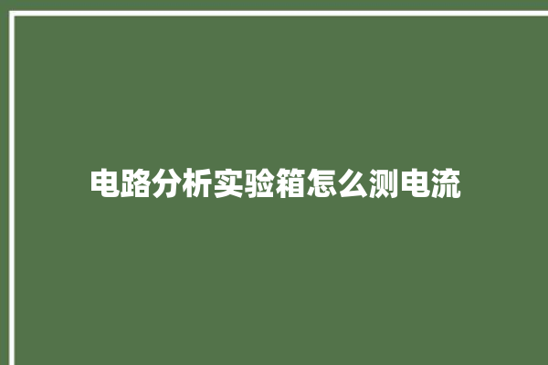 电路分析实验箱怎么测电流