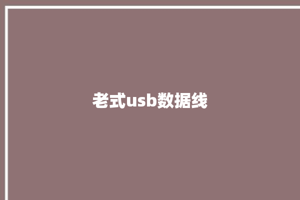 老式usb数据线