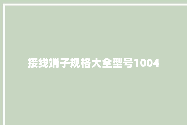 接线端子规格大全型号1004