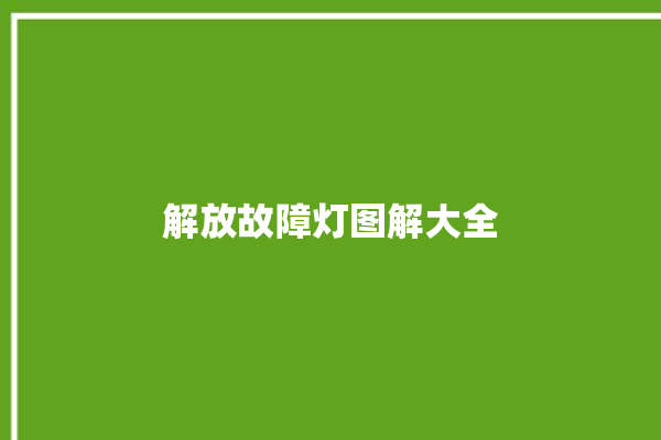 解放故障灯图解大全