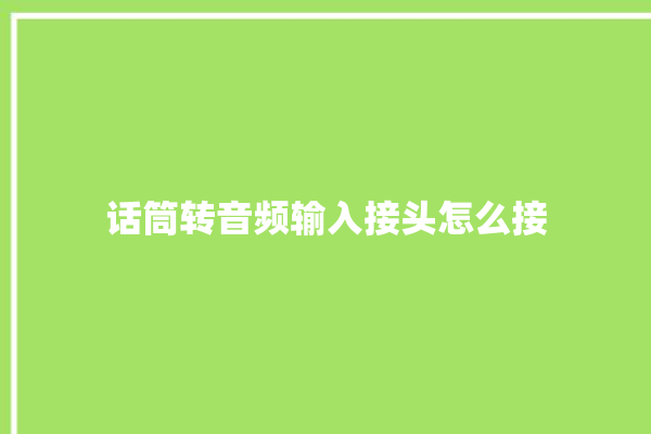 话筒转音频输入接头怎么接