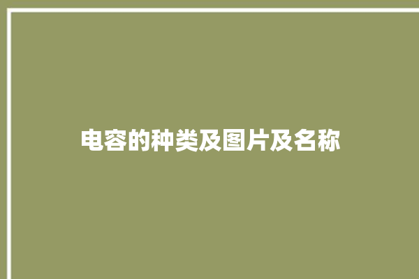 电容的种类及图片及名称