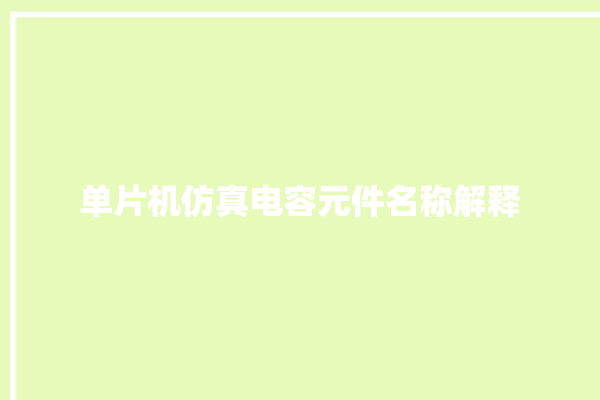 单片机仿真电容元件名称解释