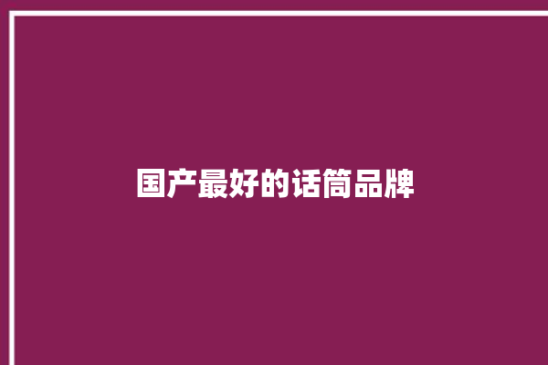 国产最好的话筒品牌