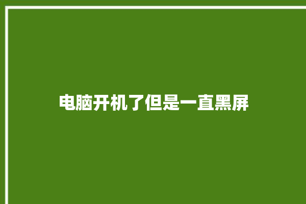 电脑开机了但是一直黑屏