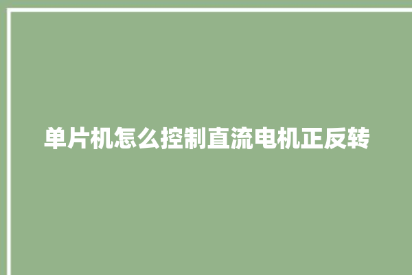 单片机怎么控制直流电机正反转