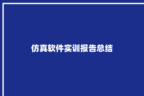 仿真软件实训报告总结