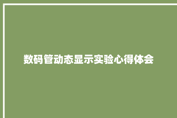 数码管动态显示实验心得体会