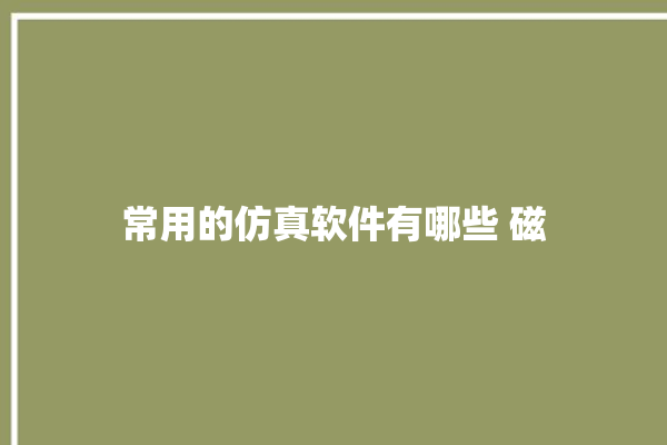 常用的仿真软件有哪些 磁