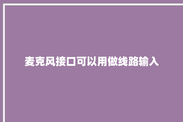 麦克风接口可以用做线路输入