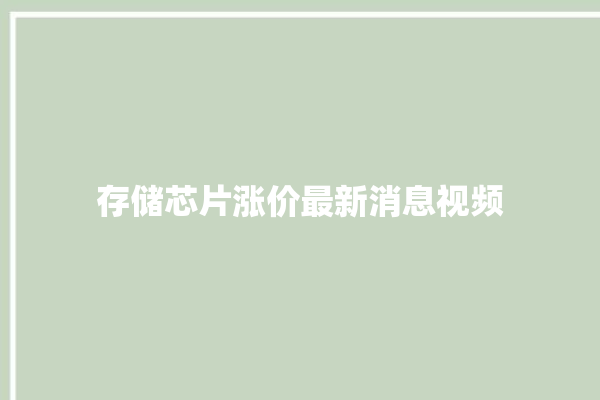 存储芯片涨价最新消息视频