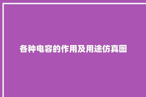 各种电容的作用及用途仿真图