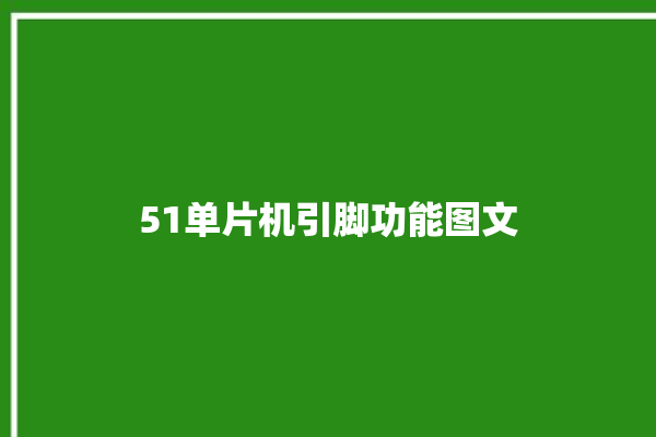 51单片机引脚功能图文