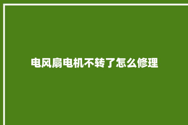 电风扇电机不转了怎么修理