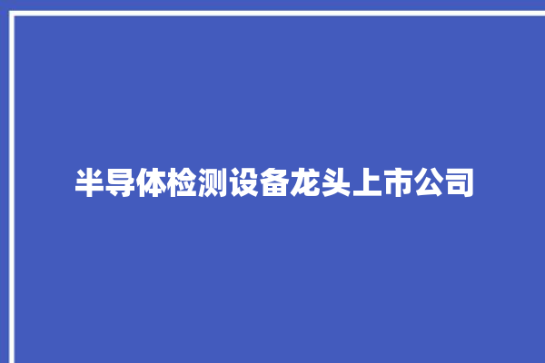 半导体检测设备龙头上市公司