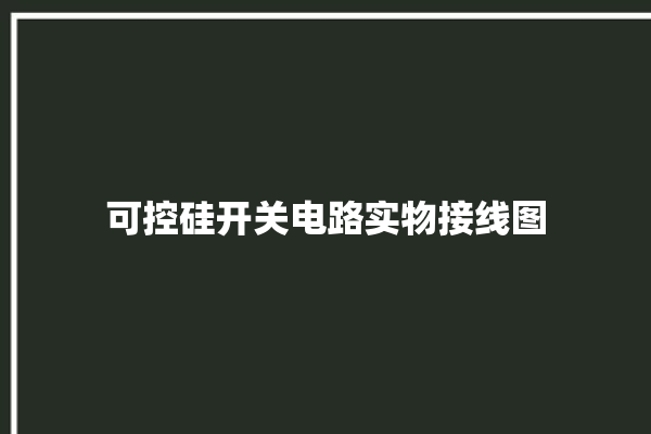 可控硅开关电路实物接线图