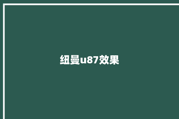 纽曼u87效果