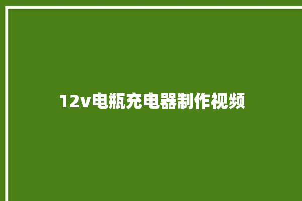 12v电瓶充电器制作视频