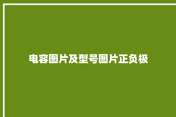 电容图片及型号图片正负极