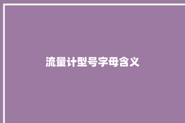 流量计型号字母含义