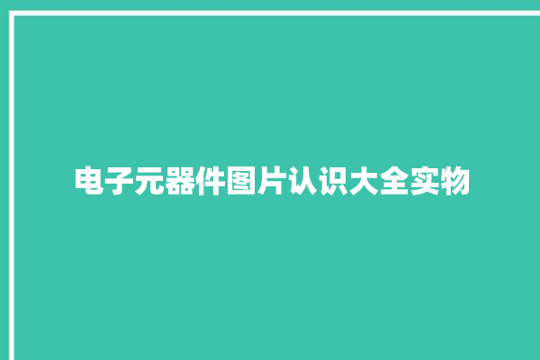 电子元器件图片认识大全实物