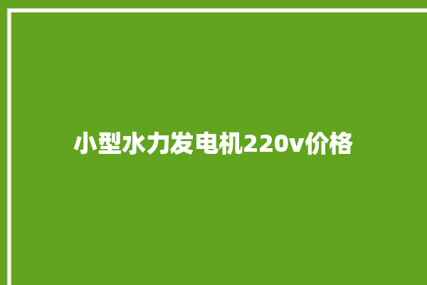 小型水力发电机220v价格